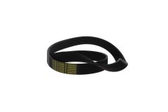 3004070283_6_4834_0 Kaeser V_Ribbed Belt_1_base